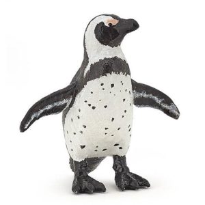 Pinguim Africano