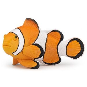 Peixe-Palhaço