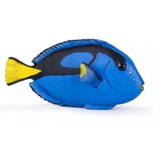 Peixe-Cirurgião