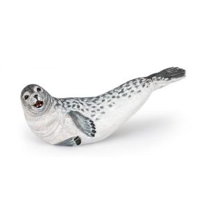 Foca