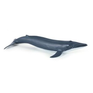 Baleia Azul Bebé