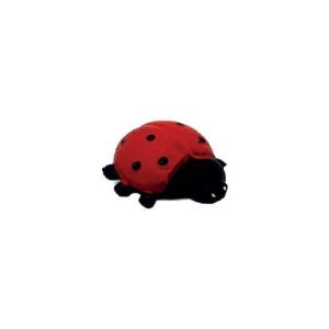 Micro Joaninha