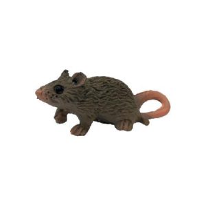 Micro Rato Doméstico