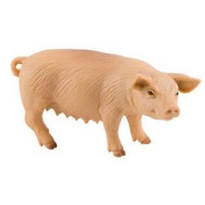Porca