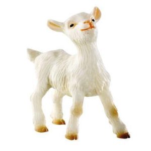 Cabrito