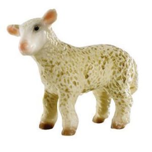 Cordeiro