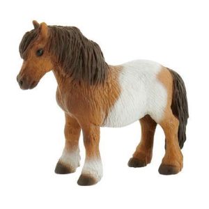 Poney Shetland