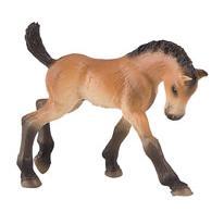 Potro Trakehner