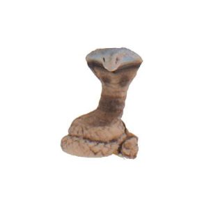 Micro Cobra