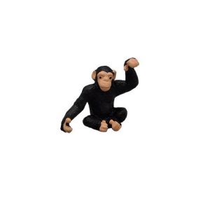 Micro Chimpanzé