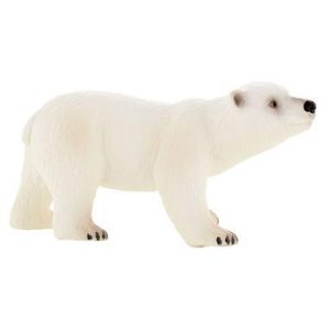 Urso Polar Bébé