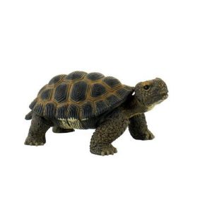 Tartaruga