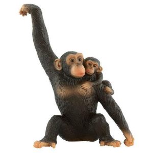 Chimpazé com Bébé