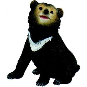 Urso Negro Asiático Bébé