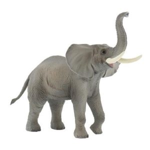 Elefante Africano