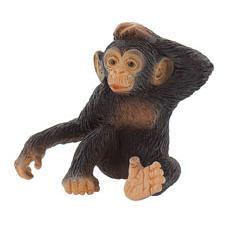 Chimpazé Bébé