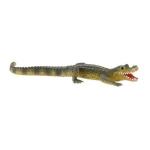 Crocodilo Bébé