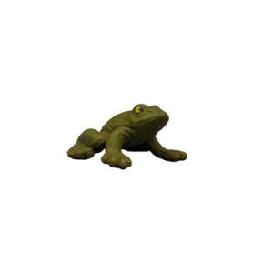 Micro Sapo Verde