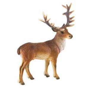 Veado
