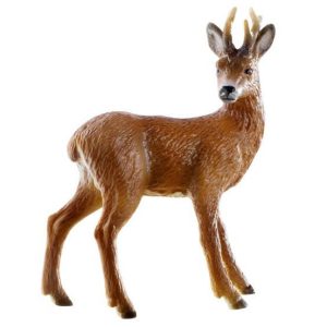 Veado