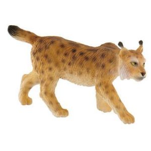 Lince