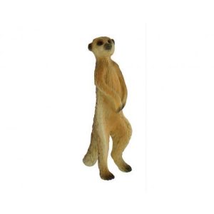 Suricata