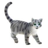Gato Chartreux Minka