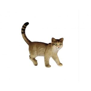 Gato Selvagem