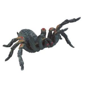 Tarantula