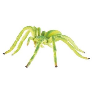 Aranha Verde - D