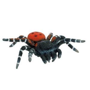 Aranha Veludo