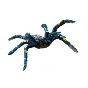 Tarantula Azul