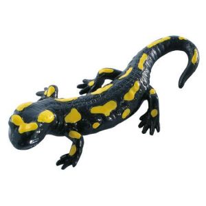 Salamandra