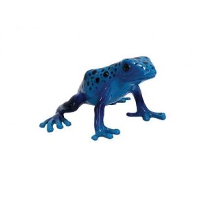 Sapo Venenoso Azureus