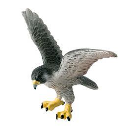 Falcão Peregrino