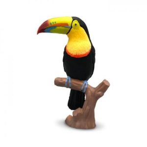 Tucano de Quilha