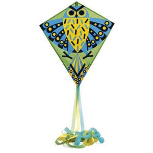 Hiboo - Papagaio c/ Desenho de Coruja