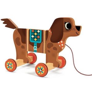 Nico - Cão para Puxar