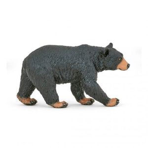 Urso Negro Americano