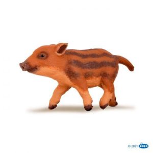 Cria de Javali