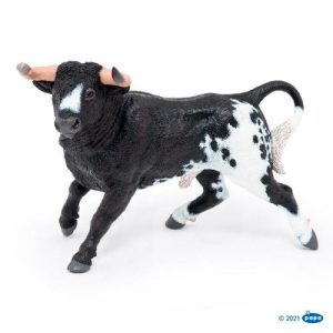 Touro Espanhol Preto e Branco