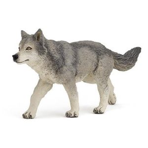Lobo Cinzento
