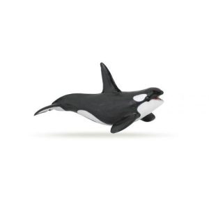 Orca (Baleia Assassina)