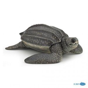 Tartaruga de Couro