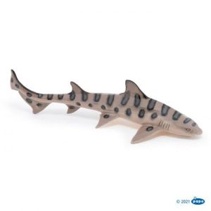 Tubarão Leopardo