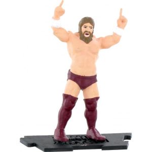 WWE Daniel Bryan