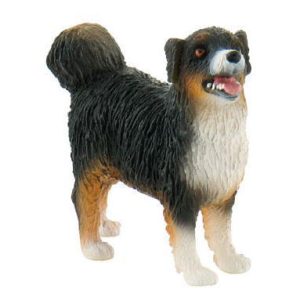 Cão Pastor Australiano