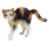 Gato Doméstico Moritz