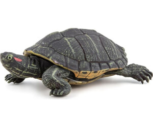 Tartaruga da Flórida